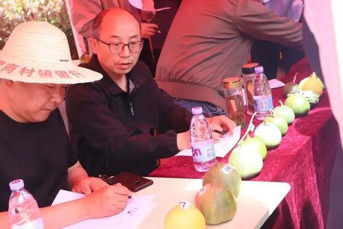 吃瓜群众的由来视频大全,视频大全带你回顾网络热词演变历程