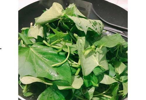 大城县吃瓜视频,揭秘当地特色美食背后的故事  第2张