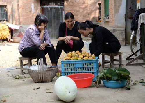 丰县吃瓜事件视频,真相与争议的交织  第2张