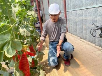 农民大棚吃瓜视频,农民吃瓜视频走红网络  第3张