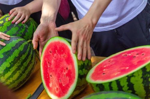 大连大学吃瓜视频,揭秘校园生活趣味瞬间  第2张