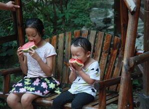 河南妞吃瓜视频,揭秘网络热点的背后故事