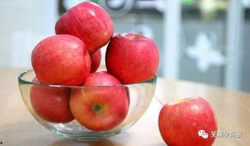 大瓜头吃苹果视频大全集  第2张