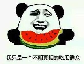 对吃瓜群众讲话视频,趣味横生的网络现象解析  第3张