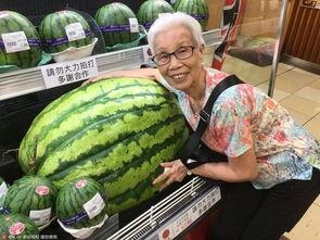 吃瓜大西瓜视频,揭秘吃瓜大西瓜视频的精彩瞬间  第3张