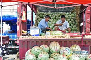 广东人天天吃瓜视频,揭秘日常饮食中的瓜文化  第3张