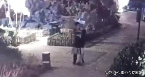 郴州吃瓜事件视频曝光,视频曝光揭示惊人真相