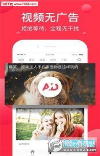 中肯吃瓜完整视频播放下载,揭秘完整视频播放下载攻略  第2张