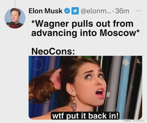 网易吃瓜视频在哪看的,热门话题一网打尽，观看指南大公开！  第2张