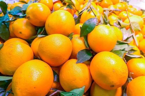 小橙子吃瓜视频,揭秘娱乐圈幕后故事