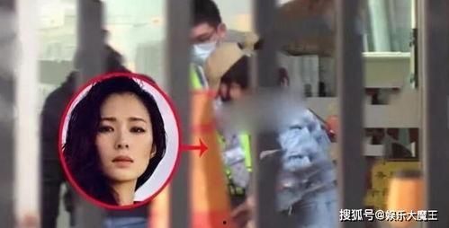 吃瓜女的结婚视频大全,结婚视频大全里的甜蜜瞬间  第3张