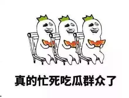 有道理的吃瓜群众视频大全,视频大全背后的趣味与真相  第2张