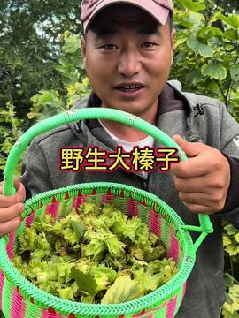 牛沙瓜怎么吃最好吃视频,视频教你轻松制作佳肴  第3张