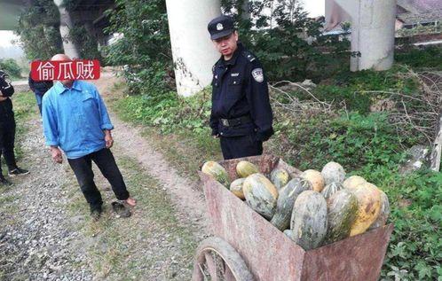 盐山吃瓜事件真相视频完整版,真相视频完整版深度解析  第3张