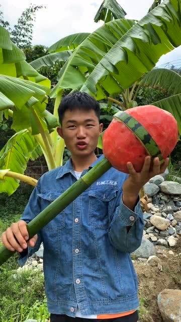 棒棒糖吃瓜视频,揭秘网红美食背后的故事  第2张