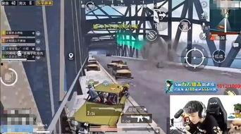 吃鸡大型吃瓜现场视频播放,吃鸡视频播放引发网友热议