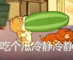 在土湾吃土瓜怎么样啊视频