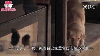 吃瓜被咬掉一块肉视频,网友直呼太真实  第3张