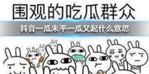 抖音搞笑段子吃瓜视频大全,吃瓜群众欢乐集结，笑料横飞视频大全  第3张