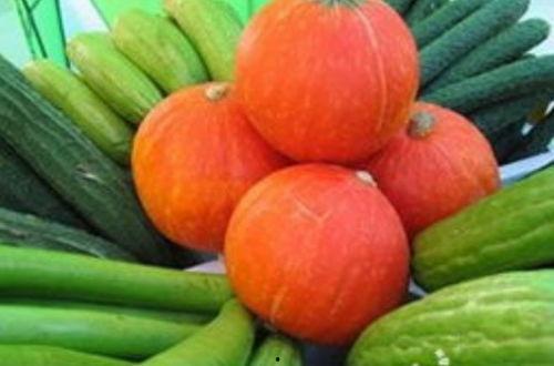 刺瓜菜怎么吃最好吃视频  第2张