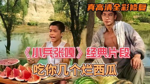 吃瓜视频大全集免费观看高清,免费高清畅享，揭秘娱乐圈幕后故事  第2张