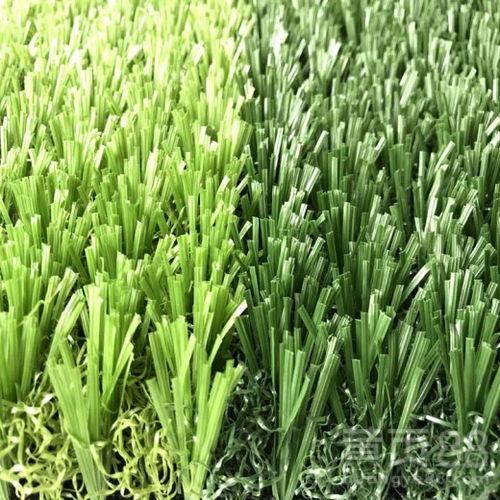 草坪吃瓜视频,吃瓜视频带你领略欢乐时光  第3张