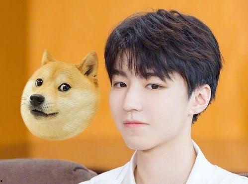 吃瓜少年王俊凯视频大全,笑料百出，欢乐无限  第3张