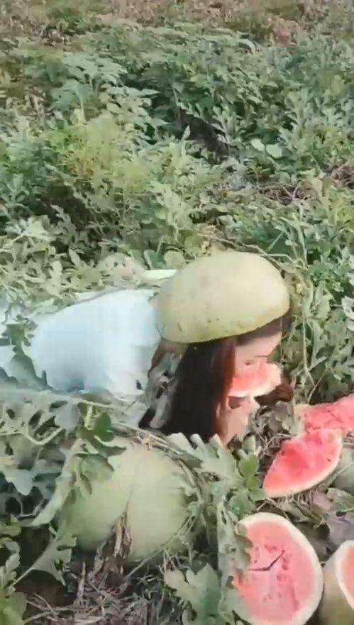 最漂亮小姐姐吃瓜视频大全,笑料百出！