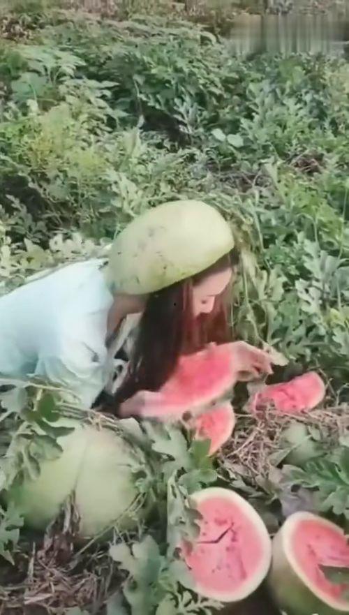 最漂亮小姐姐吃瓜视频大全,笑料百出！  第2张