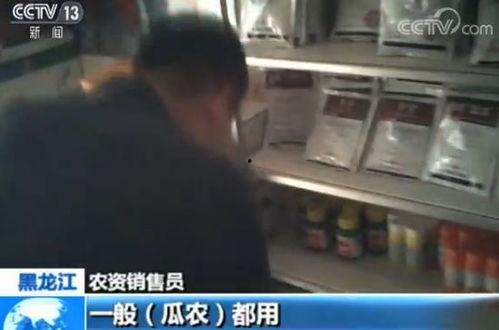 吃瓜取快递视频在线观看,在线观看吃瓜取快递视频，笑料连连