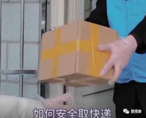 吃瓜取快递视频在线观看,在线观看吃瓜取快递视频，笑料连连  第2张