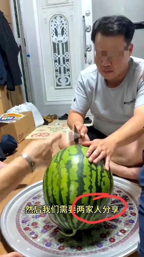 种瓜吃瓜的视频怎么拍,跟随种瓜吃瓜视频，体验田园生活乐趣  第2张