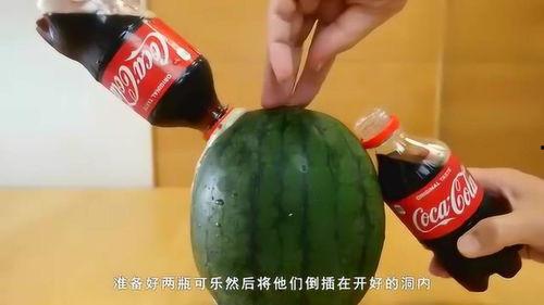 外国人吃酸瓜视频,外国友人的酸爽体验大揭秘  第2张