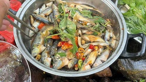 贵阳钓鱼小伙吃瓜视频大全  第2张