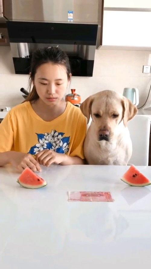 最近特别火的吃瓜视频,一场全民参与的娱乐盛宴