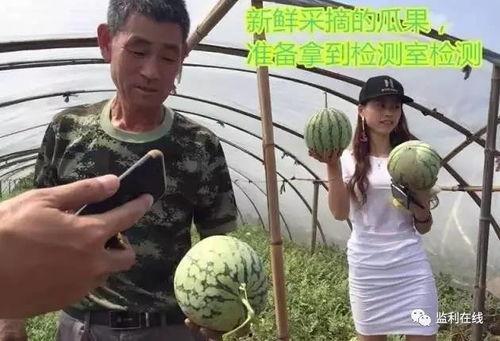 青海大爷吃瓜视频大全播放,吃瓜视频大全全网热传  第2张