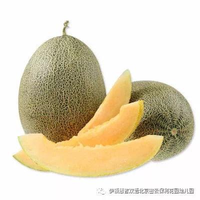 天鹅吃哈密瓜好吗视频,一场意外的美味邂逅  第2张