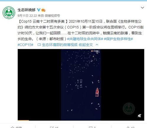 吃瓜十二时辰直播视频,直播带你领略娱乐圈风云变幻  第2张