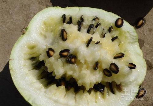 吃籽瓜肚子胀怎么办呢视频,缓解吃籽瓜肚子胀的实用方法