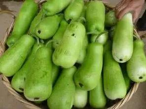 吃瓜葫芦视频,短视频中的趣味与真相  第2张