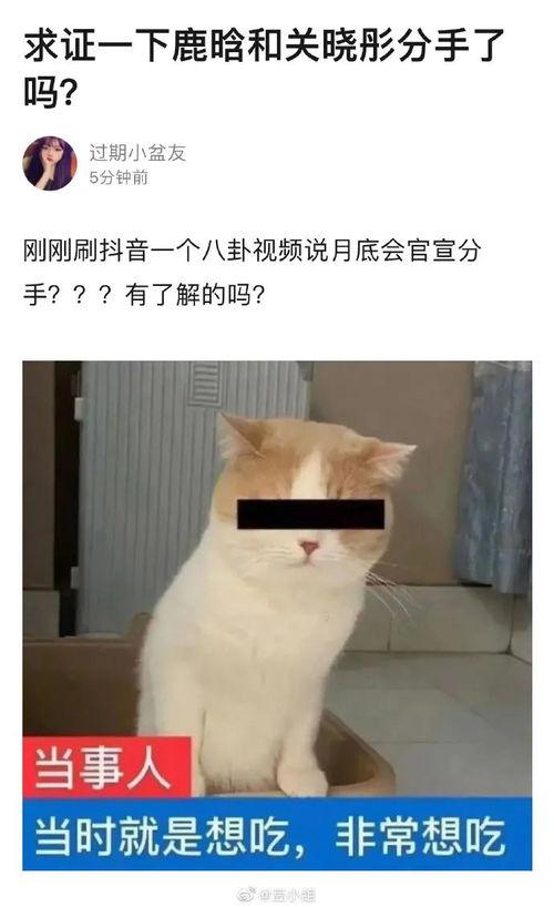 鹿晗吃瓜八卦视频大全  第3张