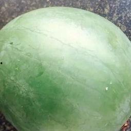 小西湖吃瓜视频大全最新,揭秘网红美食背后的故事  第3张