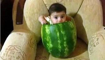 吃瓜专属歌曲大全图片视频,带你领略音乐界的“瓜界风云”  第3张