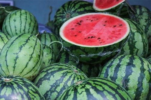 近几年吃瓜视频,近几年热门吃瓜视频盘点  第3张