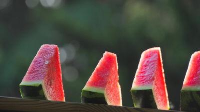 吃篮子瓜的视频素材,一场视觉与味觉的双重盛宴  第2张