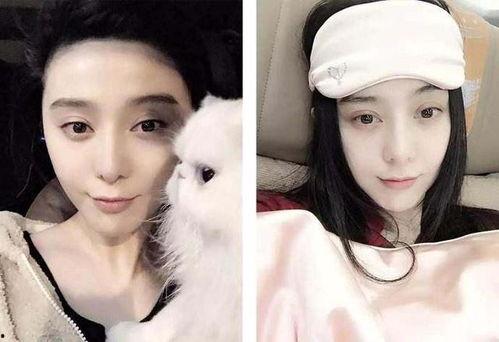 全网女明星吃瓜合集视频,揭秘娱乐圈幕后故事