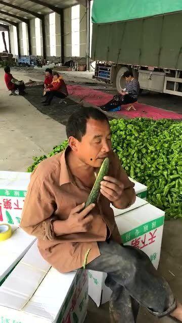 搬砖人吃瓜视频  第2张