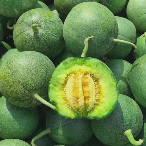 吃绿宝瓜搞笑视频大全集  第3张