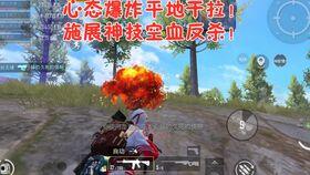 吃鸡吃瓜视频打架在哪里看,揭秘网络暴力现场  第2张