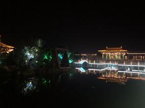 唐城事件理性吃瓜视频,理性吃瓜，揭秘真相背后的网络狂欢